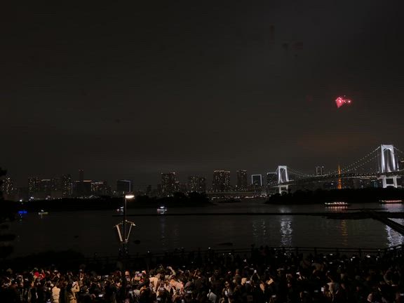 お台場の夜の記事動画