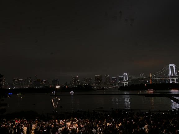 お台場の夜の記事動画