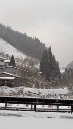 本日イベントですの記事動画