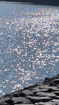 イベントですの記事動画