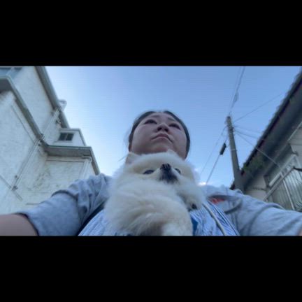 こはねぇねぇも一緒にの記事動画