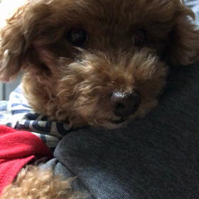 あっかんべ〜〜笑の画像