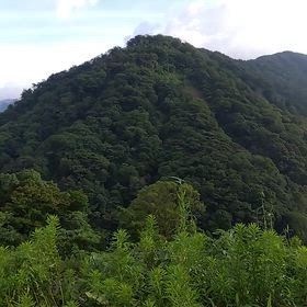 阿蘇に行って来たの画像