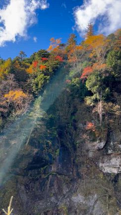 鳳凰三山の記事動画