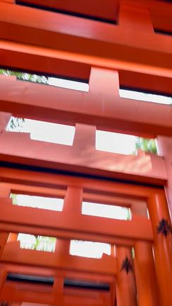 遅めのお盆休みの記事動画
