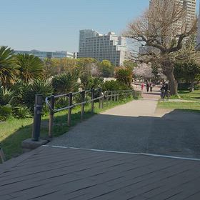春しかない☀お台場の画像