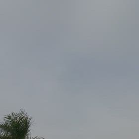 クモリの画像