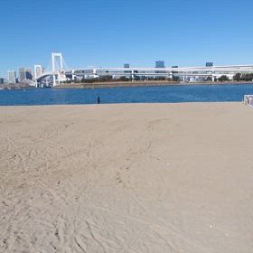 シクロクロスの画像