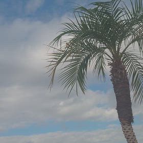 今日も今日とて寒いの画像