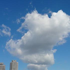 気持ちいいぞーーーーーー、の画像