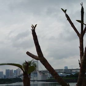 曇りも心地よしの画像