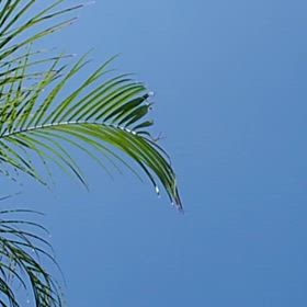 今日はスクールデイの画像