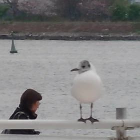 もりもり曇りの画像