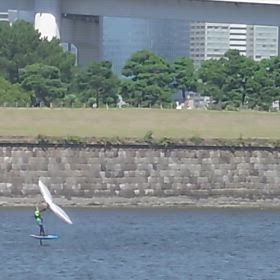 南で強風です。の画像