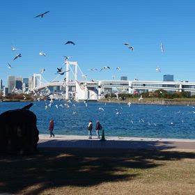 今日もサムイ島じゃなく寒いぞーの画像