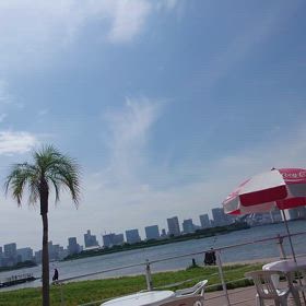 むし夏の画像