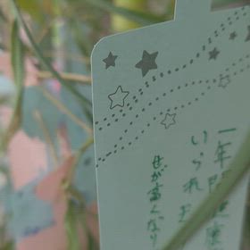 蒸しこですの画像