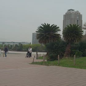 涼しい曇りゾラの画像