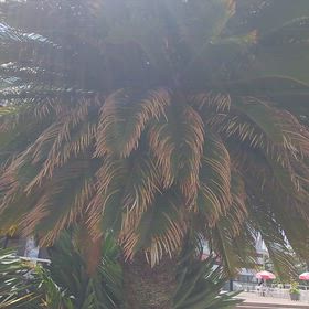 気持ちよし☀の画像
