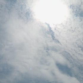 もう猛暑夏ナッツの画像