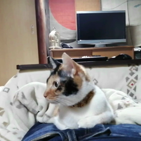 火の用心の画像