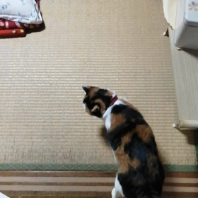仲良し(^o^)の画像