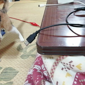 ＵＳＢ (*^^*)の画像