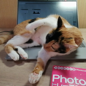 パソコン温かい？の画像