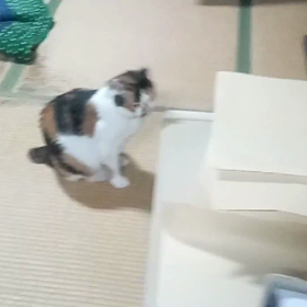 スリスリの画像