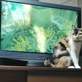 ゼルダ(@_@)の画像