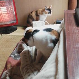目覚めたらの画像