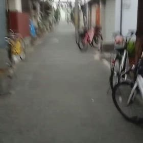 雷(@_@)の画像