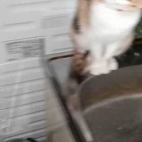 ゴクゴク(^o^)の画像