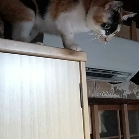 タイミング(^_^;)の画像