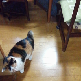 ご主人様(*^^*)の画像