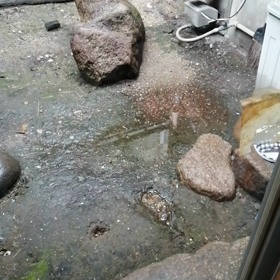 お昼ごはん(*^^*)の画像