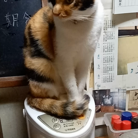 ポットの上に(^o^)の画像