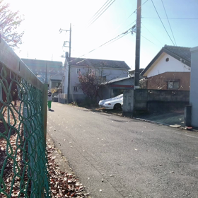 モー師走の画像