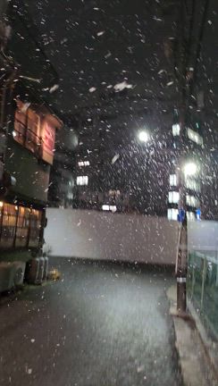 寒さが最強の記事動画