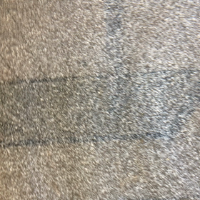 天翔池の画像