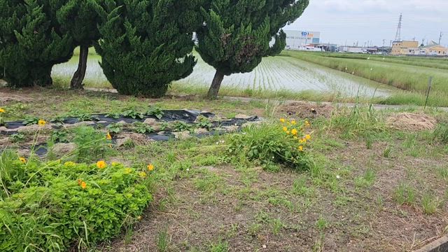 僕の立ち位置を把握するためにの記事動画