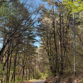 爽やかな朝の画像