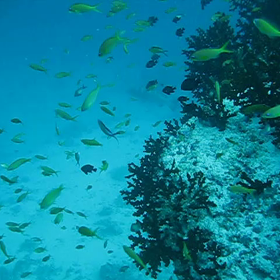 ep20 流れに沿っての画像