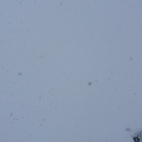 今も吹雪…動画で！の画像
