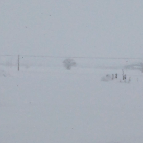 本日のお天気を動画してみたよの画像