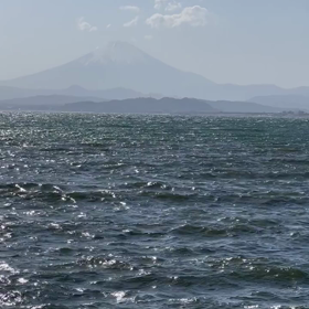 今日は母の命日ですが江ノ島に20230416の画像