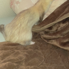 何がしたい❓の画像