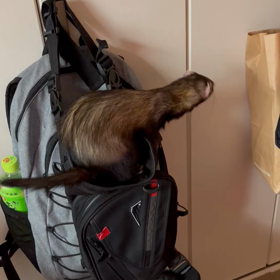 一眠りしたら元気❣️^_^の画像