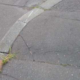 歩きましたの画像