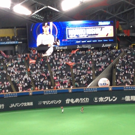ファイターズの画像